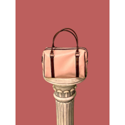 Pink & Brown Handbag