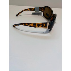 Polorized Sunglasses