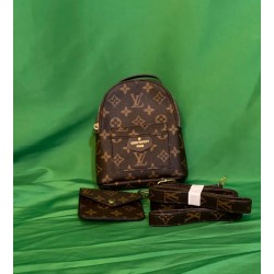 LV Mini Backpack w/ Coin Purse